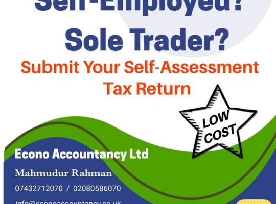 Accounting, Bookkeeping, Payroll, VAT Services With Low Cost