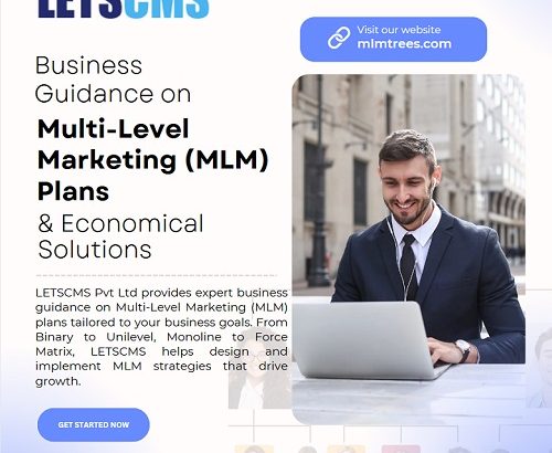 Business Guidance on Multi-Level Marketing (MLM) Plans & Economical Solutions