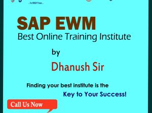 SAP EWM Training in Hyderabad | EWM Online Training | Igrowsoft