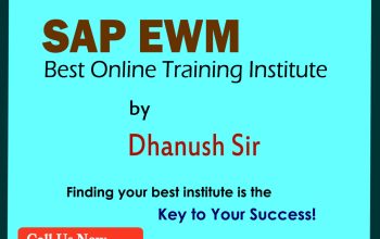 SAP EWM Training in Hyderabad | EWM Online Training | Igrowsoft