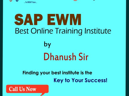 SAP EWM Training in Hyderabad | EWM Online Training | Igrowsoft