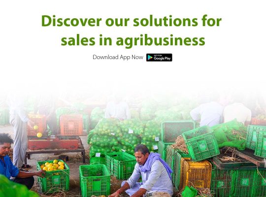 KisanSabha: The Best Agri Startup For Logistics And Market Connectivity.