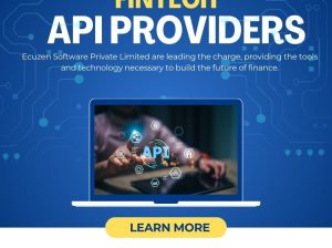 Fintech API Providers