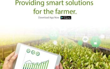 Connecting Farmers With Dealers: KisanSabha Role In Agritech Startups.