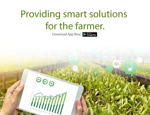 Connecting Farmers With Dealers: KisanSabha Role In Agritech Startups.