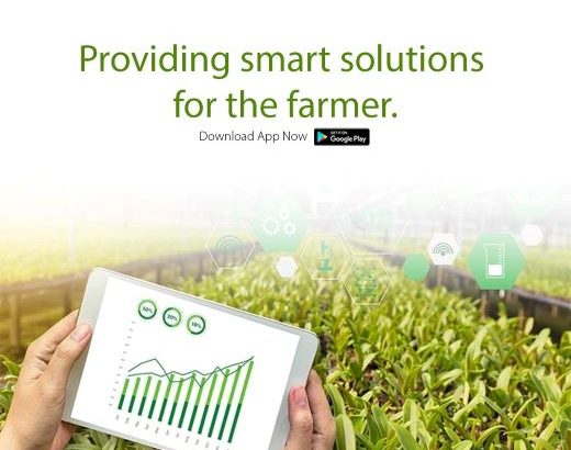 Connecting Farmers With Dealers: KisanSabha Role In Agritech Startups.