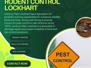 Pest control Services in Lockhart