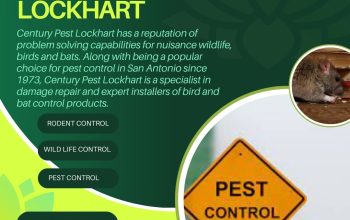 Pest control Services in Lockhart