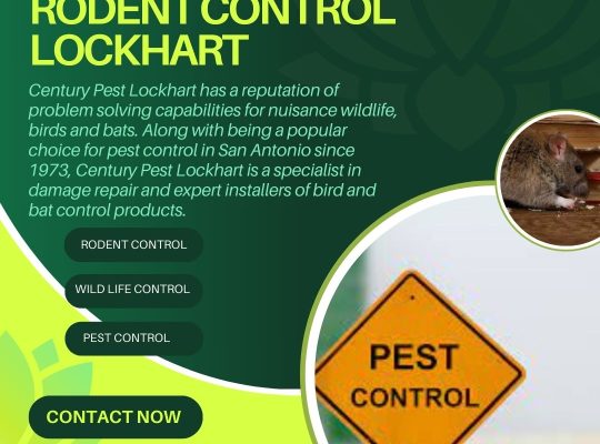 Pest control Services in Lockhart