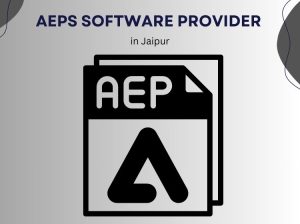 AEPS Software Provider In Jaipur