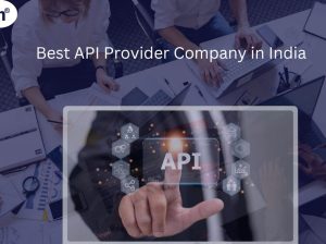 Best API Provider Company in India