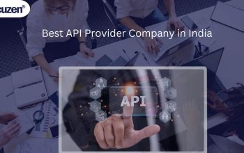 Best API Provider Company in India