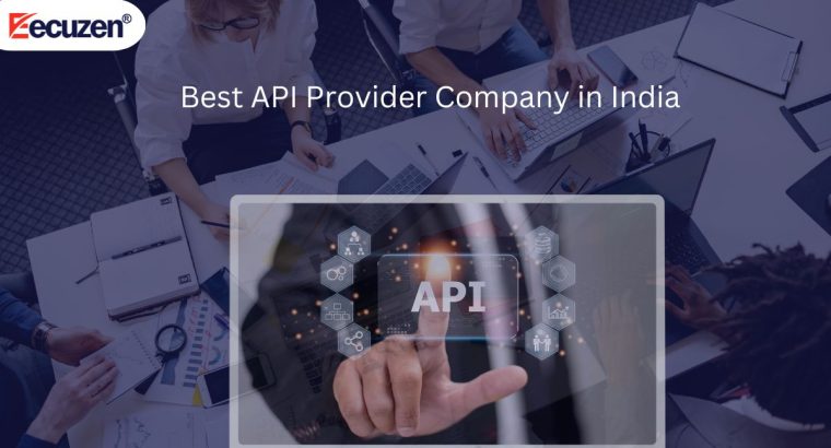 Best API Provider Company in India