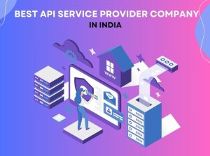 Best API Service Provider Company in India