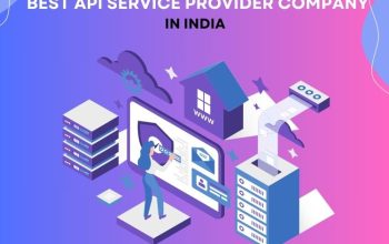 Best API Service Provider Company in India