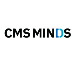 Hire Expert WordPress Developer – cmsMinds Services