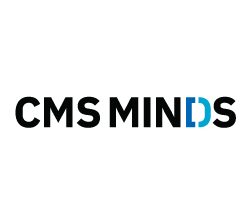 Hire Expert WordPress Developer – cmsMinds Services