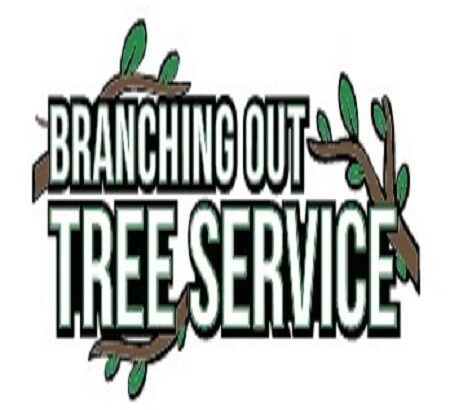 Branching Out Tree Service