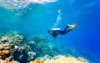 Explore the Blue Paradise – Scuba Diving In Goa Experiences