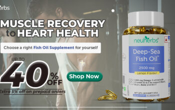 Premium Fish Oil Capsule for Daily Wellness