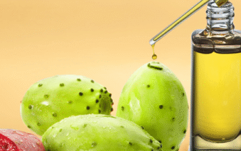 Prickly pear seed oil wholesale