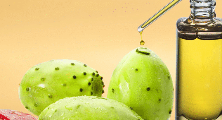 Prickly pear seed oil wholesale