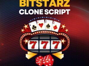 Next-Gen Bitstarz Clone Script for Quick Game Access