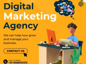 Best Digital Marketing Agency in Mohali | DigifyWebs