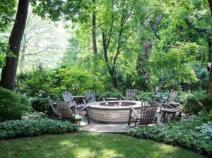Privacy Trees Glenview