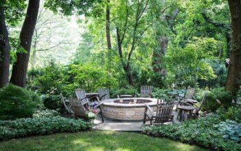 Privacy Trees Glenview