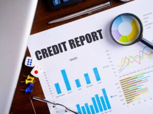 Corporate Credit Information Report