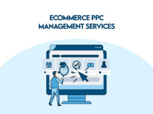 Ecommerce PPC Management Services