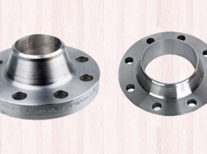 Top Stainless Steel Flange Manufacturer in India – Trusted by Engineers Worldwide